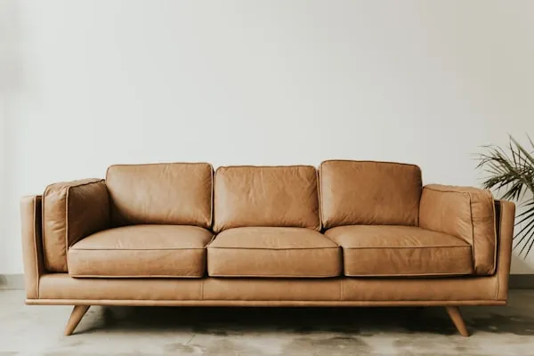 Professional sofa cleaning services in Vadodara