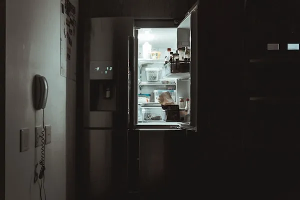 Professional refrigerator services in Vadodara